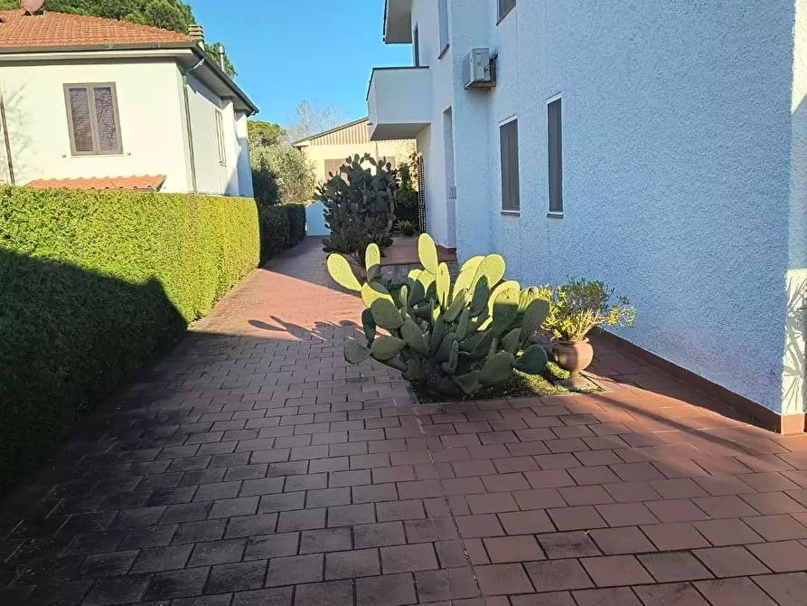 Immagine 3 di Villa in vendita  a Pisa