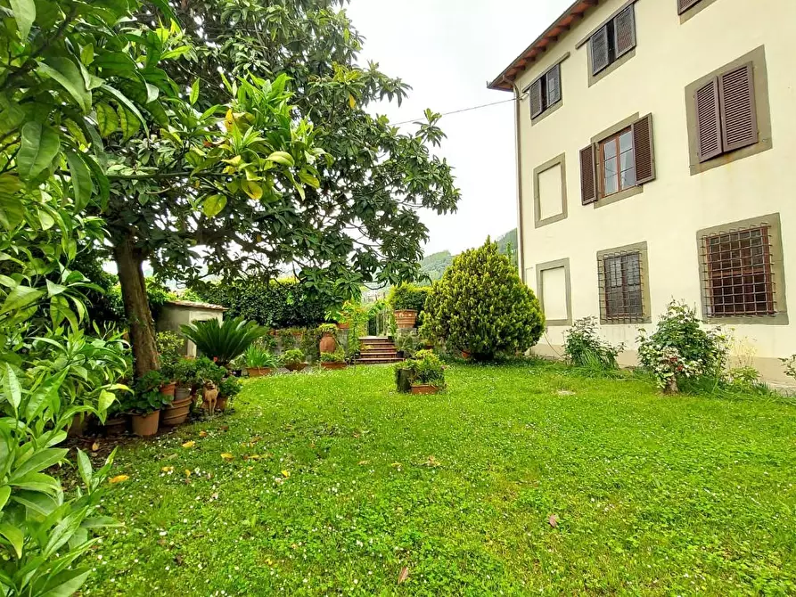 Immagine 3 di Villa in vendita  a Capannori