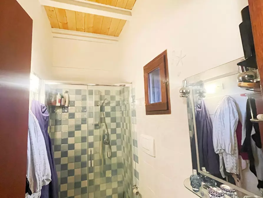 Immagine 21 di Appartamento in vendita  a Vicopisano