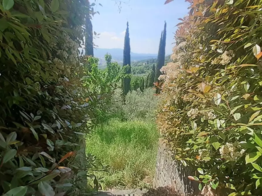 Immagine 17 di Rustico / casale in vendita  a Capannori