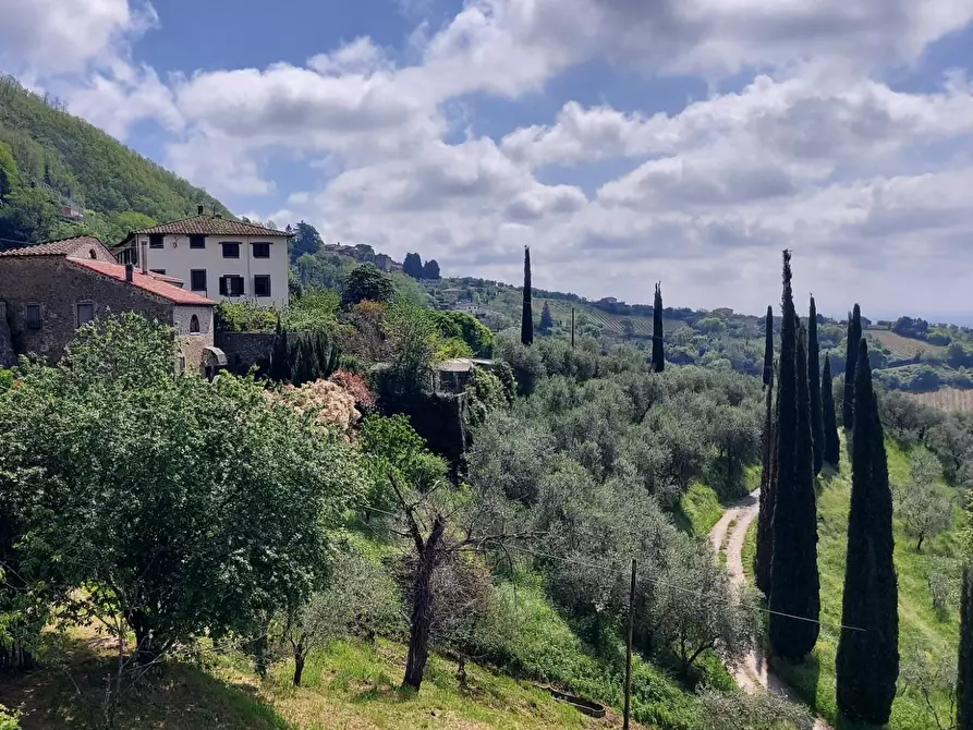 Immagine 23 di Rustico / casale in vendita  a Capannori