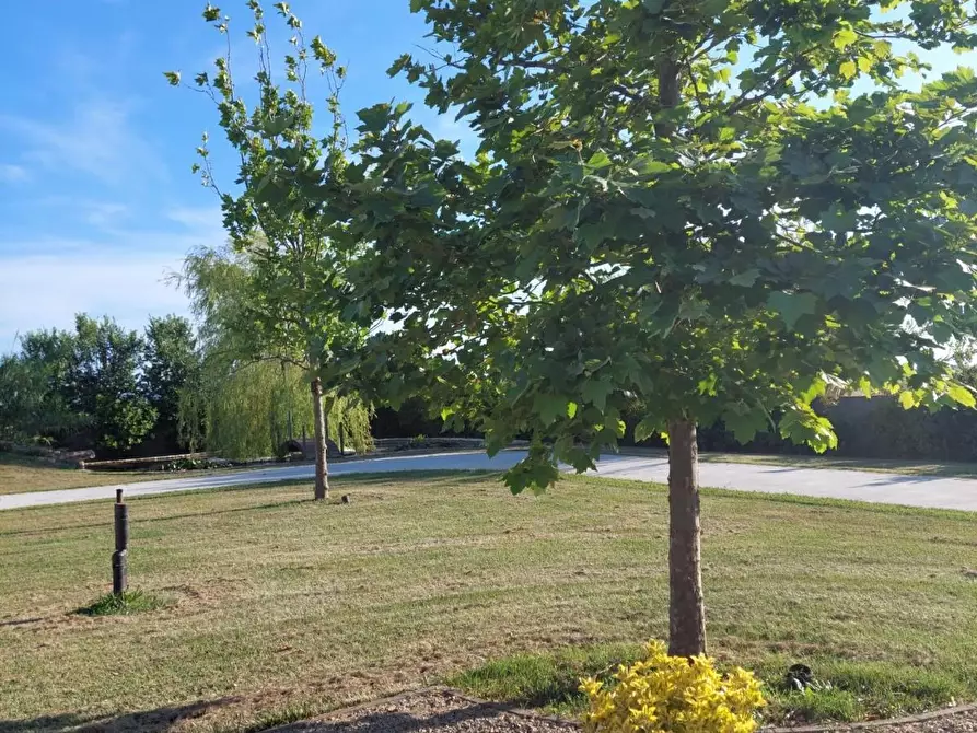 Immagine 48 di Rustico / casale in vendita  a Cascina