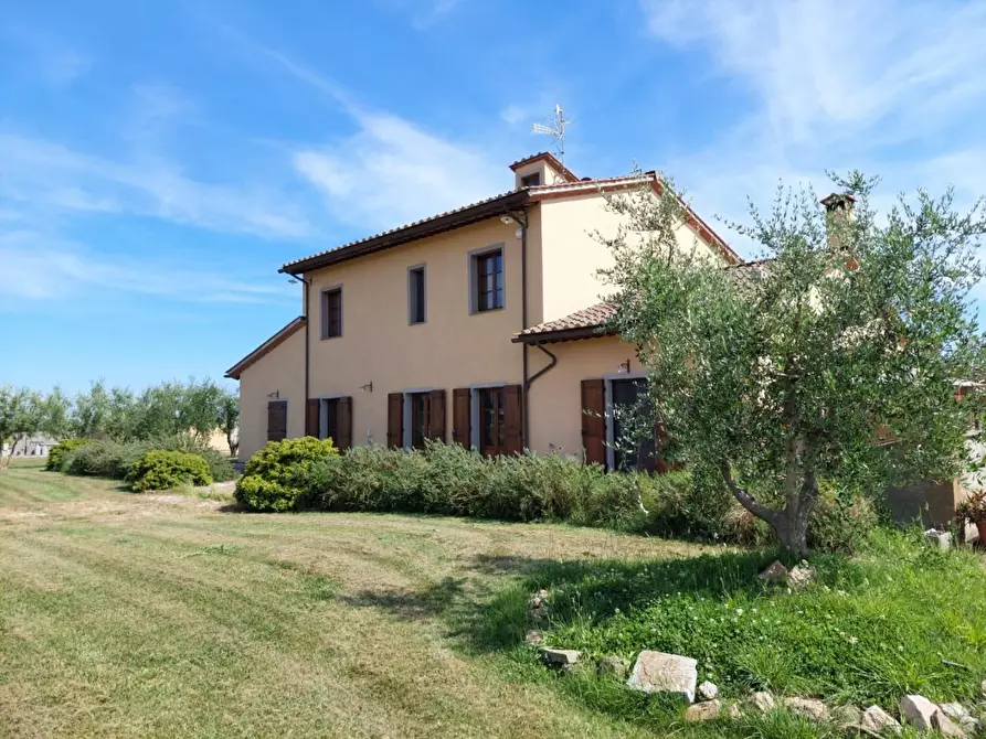 Immagine 2 di Rustico / casale in vendita  a Cascina