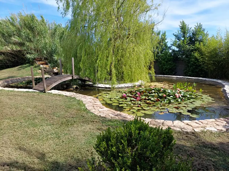 Immagine 5 di Rustico / casale in vendita  a Cascina