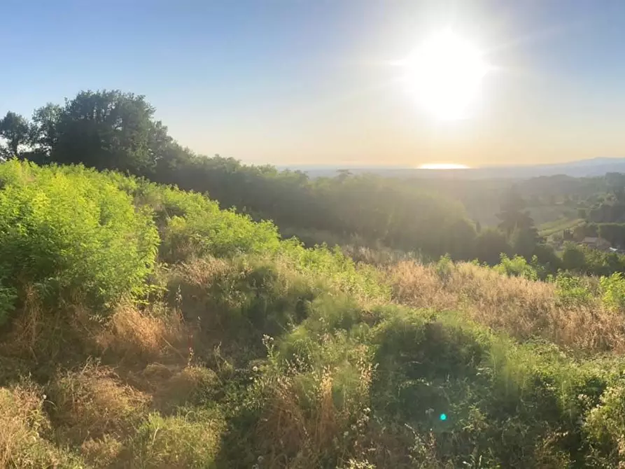 Immagine 11 di Villa in vendita  a Guardistallo