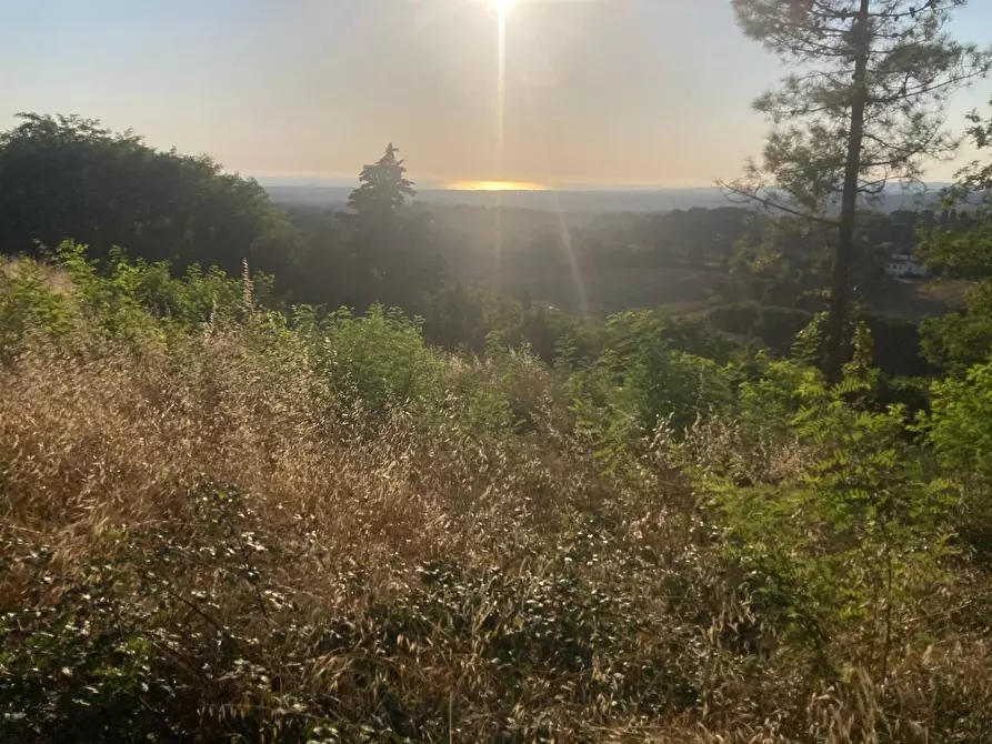 Immagine 12 di Villa in vendita  a Guardistallo