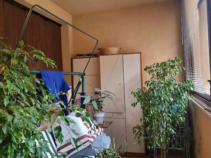 Immagine 4 di Villetta a schiera in vendita  a Casole D'elsa