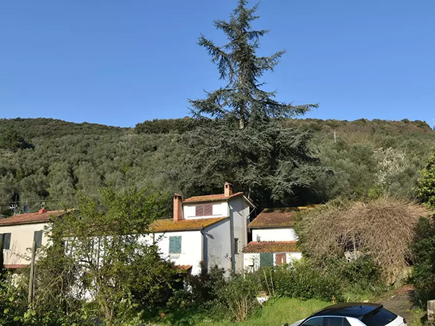 Immagine 8 di Terratetto in vendita  a Vecchiano