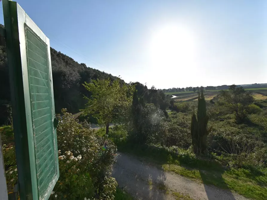 Immagine 5 di Terratetto in vendita  a Vecchiano