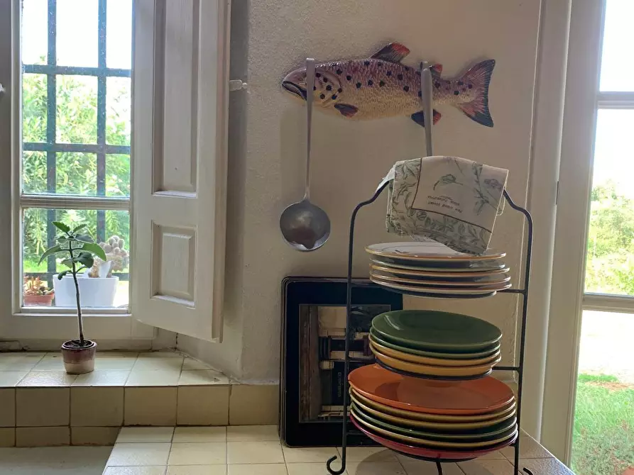 Immagine 37 di Terratetto in vendita  a Vecchiano