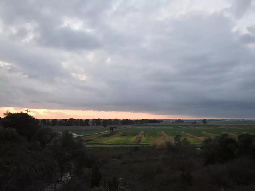 Immagine 25 di Terratetto in vendita  a Vecchiano