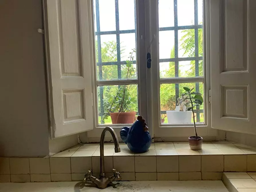 Immagine 44 di Terratetto in vendita  a Vecchiano