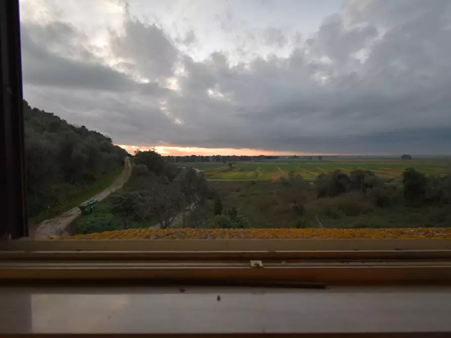 Immagine 22 di Terratetto in vendita  a Vecchiano