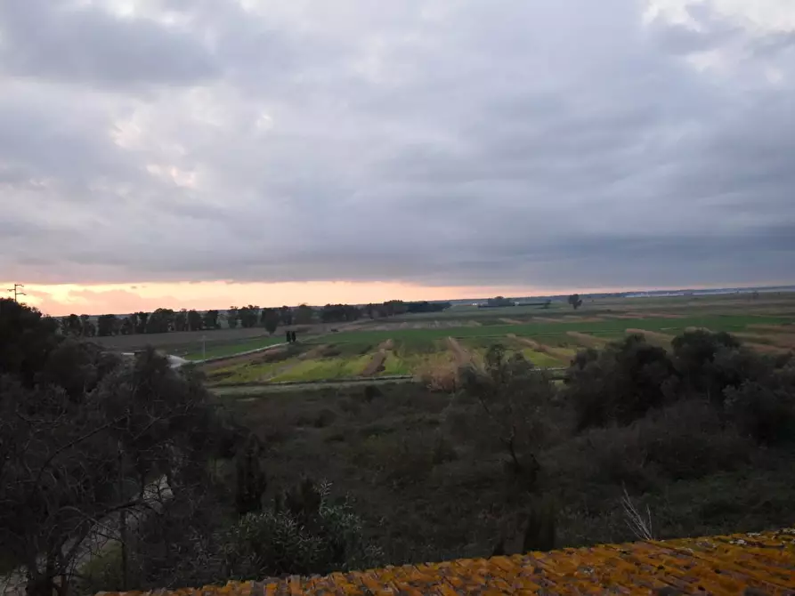 Immagine 34 di Terratetto in vendita  a Vecchiano