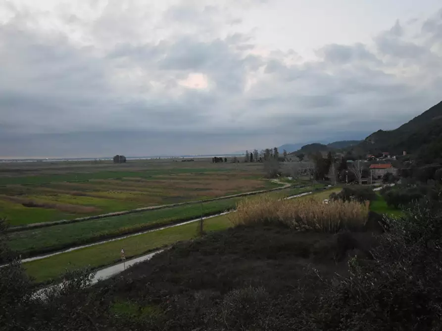 Immagine 30 di Terratetto in vendita  a Vecchiano