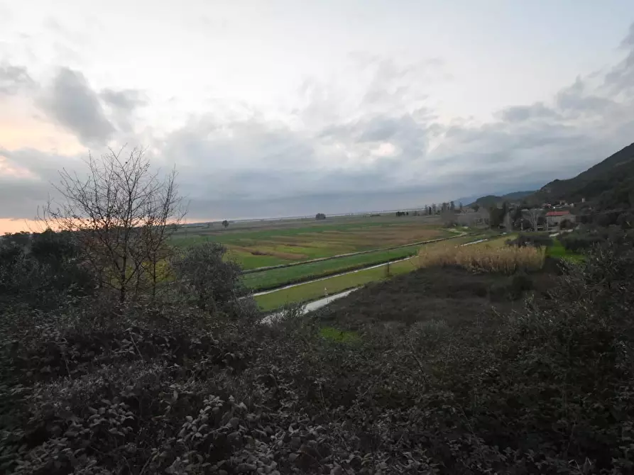 Immagine 31 di Terratetto in vendita  a Vecchiano