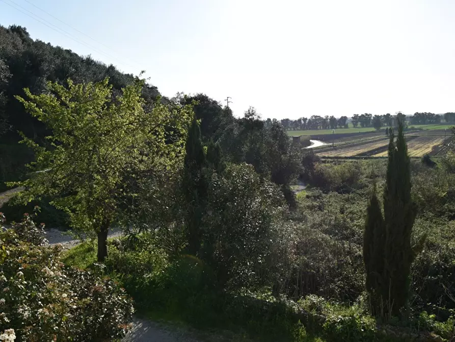 Immagine 6 di Terratetto in vendita  a Vecchiano