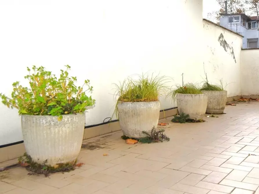 Immagine 9 di Appartamento in vendita  a Viareggio