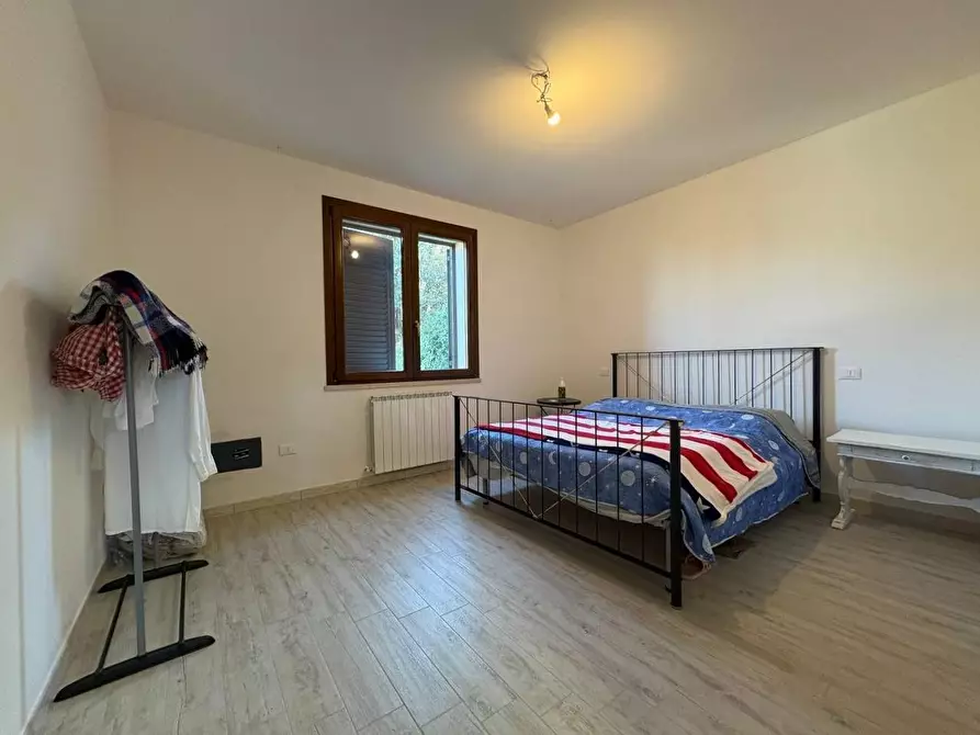 Immagine 12 di Appartamento in vendita  a Rosignano Marittimo