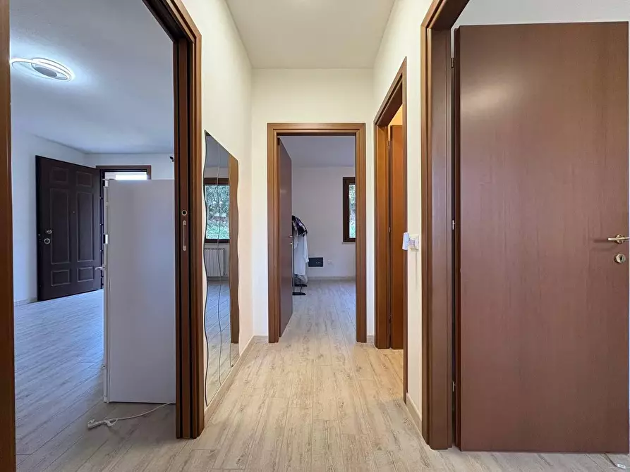 Immagine 10 di Appartamento in vendita  a Rosignano Marittimo