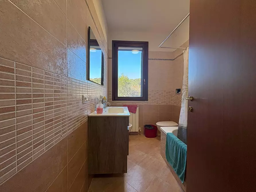 Immagine 14 di Appartamento in vendita  a Rosignano Marittimo