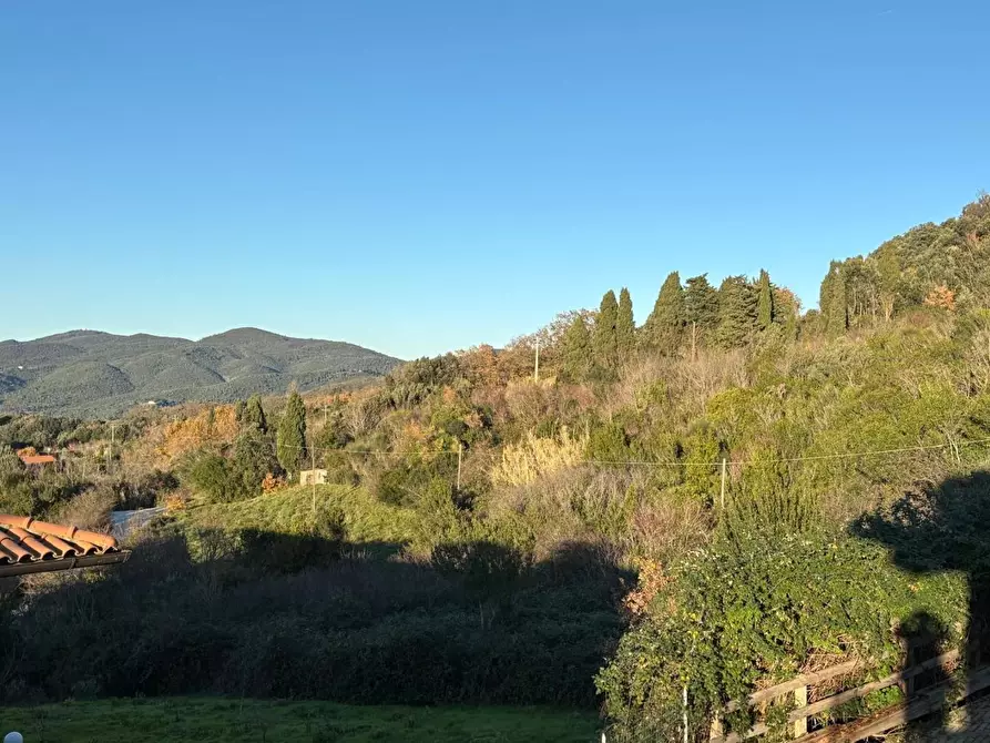 Immagine 9 di Appartamento in vendita  a Rosignano Marittimo