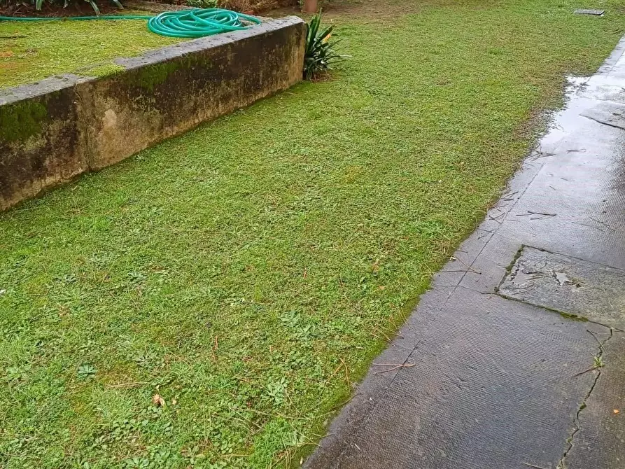 Immagine 18 di Appartamento in vendita  a Viareggio