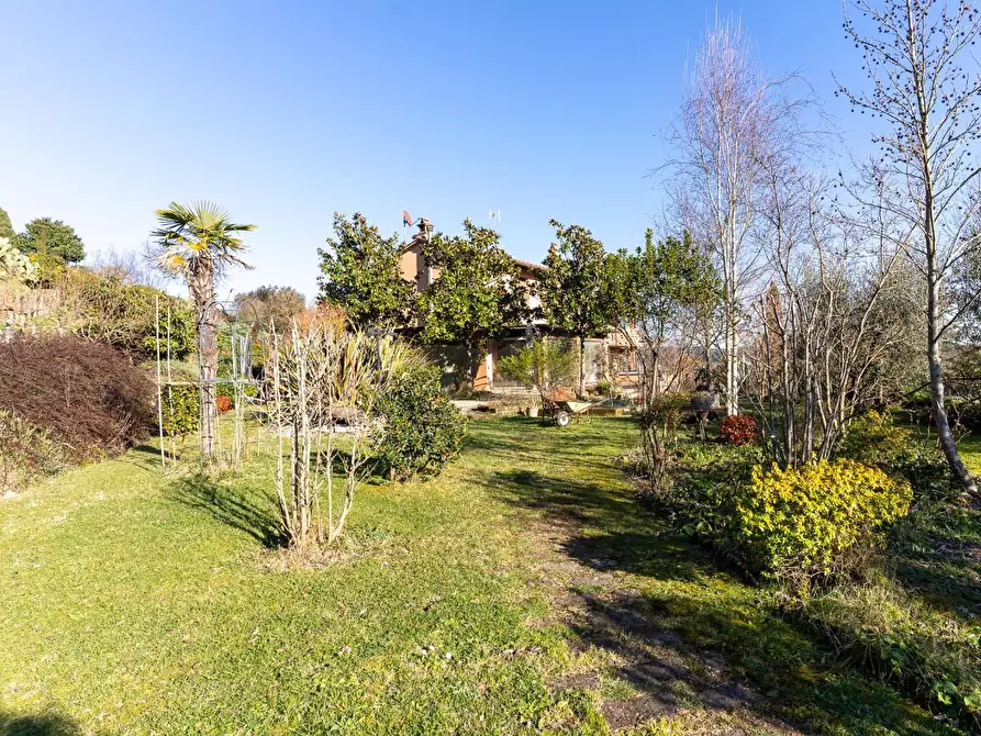 Immagine 4 di Terratetto in vendita  a San Miniato