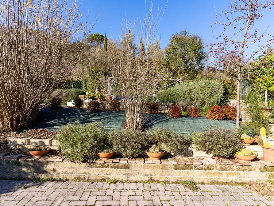 Immagine 5 di Terratetto in vendita  a San Miniato