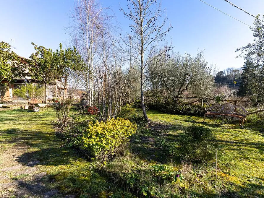 Immagine 2 di Terratetto in vendita  a San Miniato