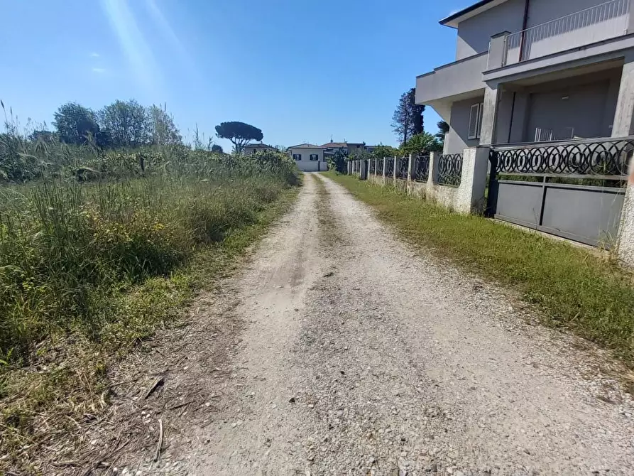 Immagine 9 di Appartamento in affitto  a Camaiore