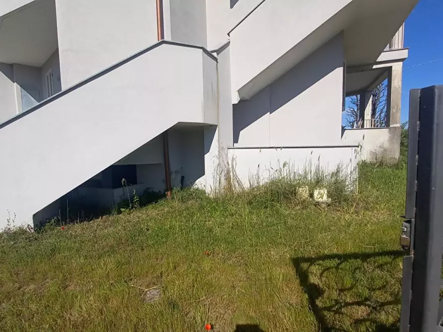 Immagine 7 di Appartamento in affitto  a Camaiore