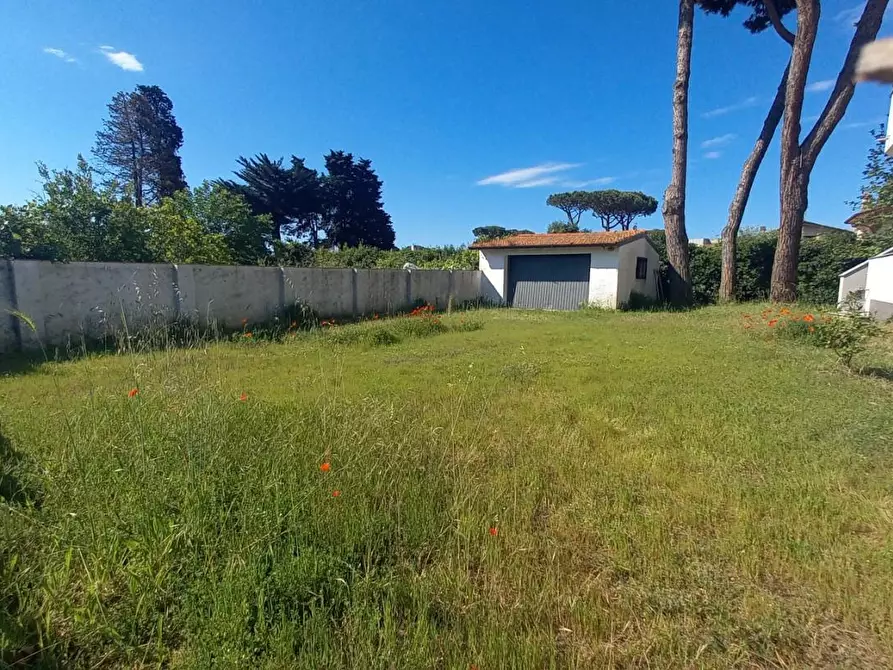 Immagine 8 di Appartamento in affitto  a Camaiore