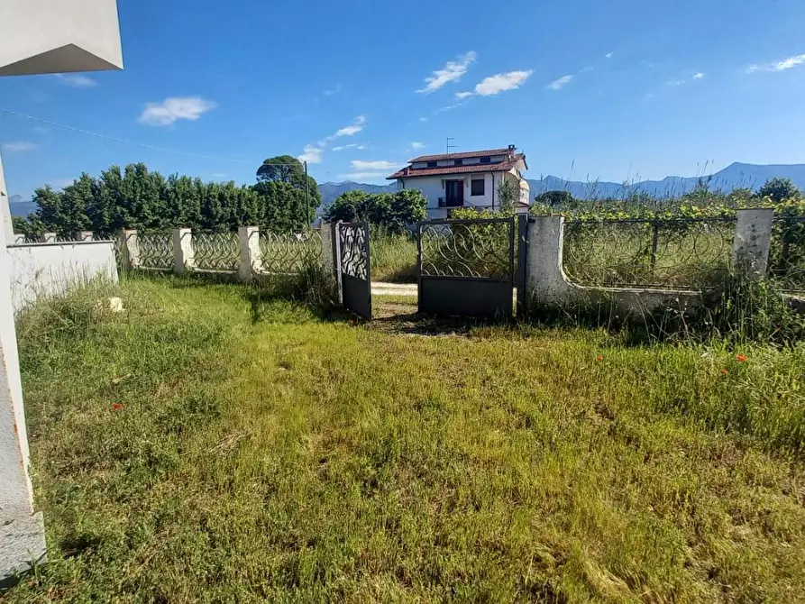 Immagine 6 di Appartamento in affitto  a Camaiore