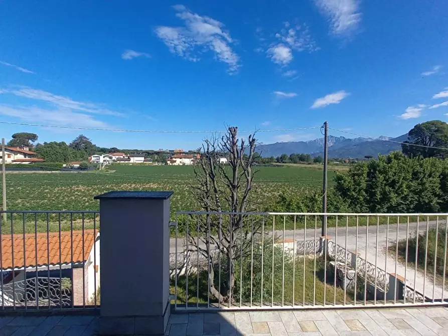 Immagine 4 di Appartamento in affitto  a Camaiore