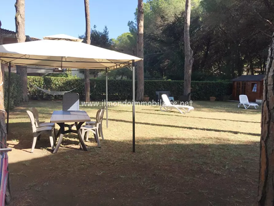 Immagine 3 di Appartamento in vendita  a Rosignano Marittimo