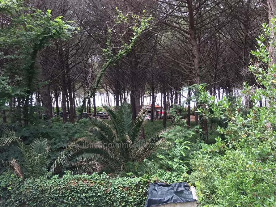 Immagine 9 di Appartamento in vendita  a Rosignano Marittimo