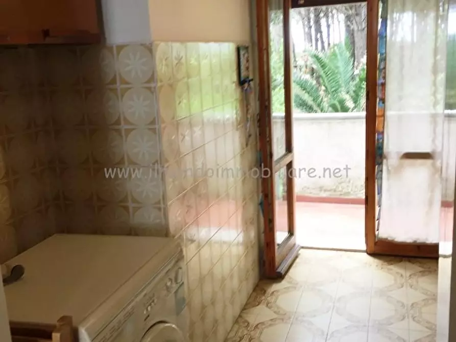 Immagine 7 di Appartamento in vendita  a Rosignano Marittimo