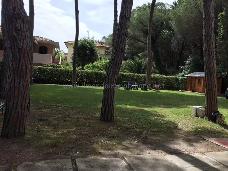 Immagine 16 di Appartamento in vendita  a Rosignano Marittimo