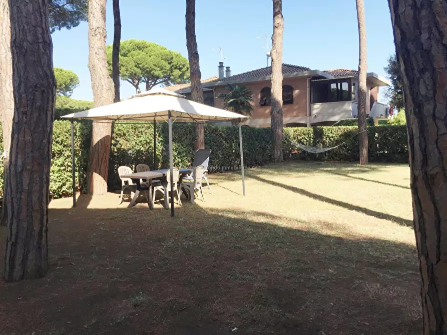 Immagine 2 di Appartamento in vendita  a Rosignano Marittimo