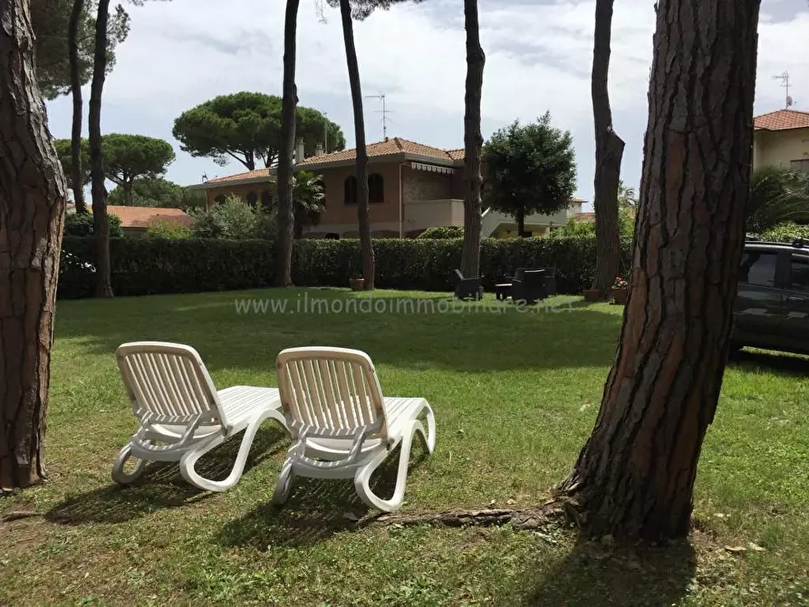 Immagine 18 di Appartamento in vendita  a Rosignano Marittimo