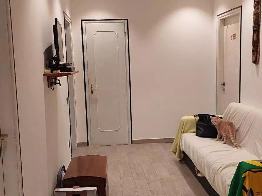 Immagine 23 di Appartamento in vendita  a Livorno