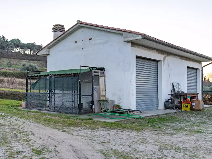 Immagine 4 di Villa in vendita  a San Miniato