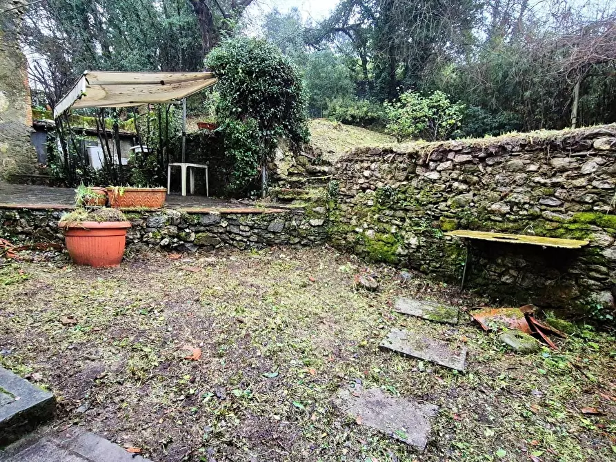 Immagine 11 di Rustico / casale in vendita  a Camaiore