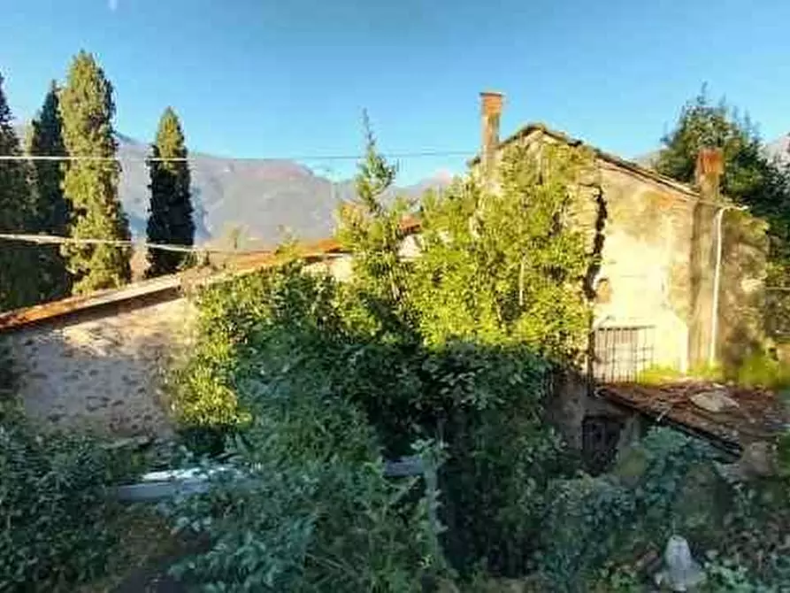 Immagine 5 di Rustico / casale in vendita  a Camaiore