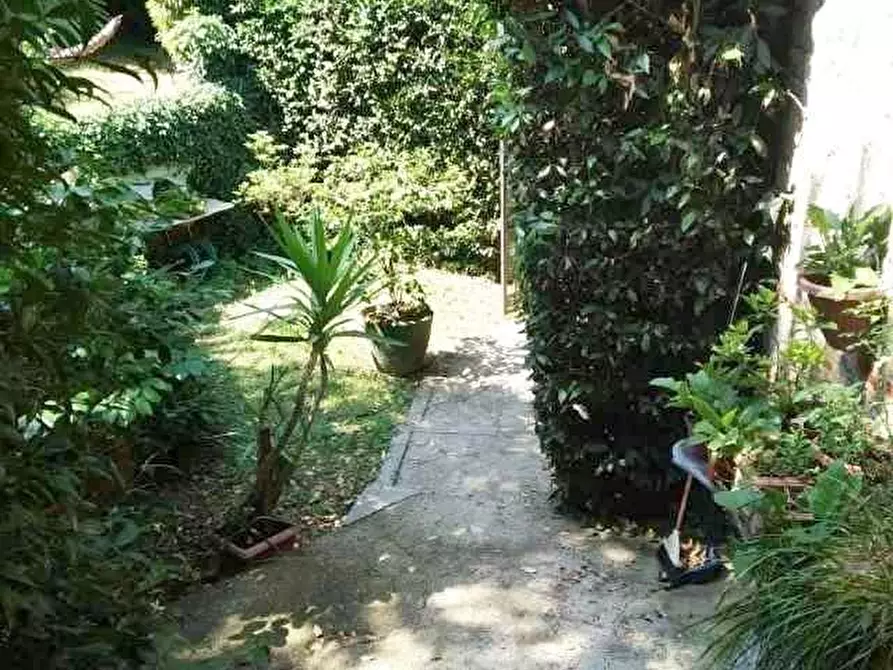 Immagine 14 di Rustico / casale in vendita  a Camaiore