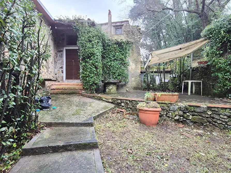 Immagine 13 di Rustico / casale in vendita  a Camaiore