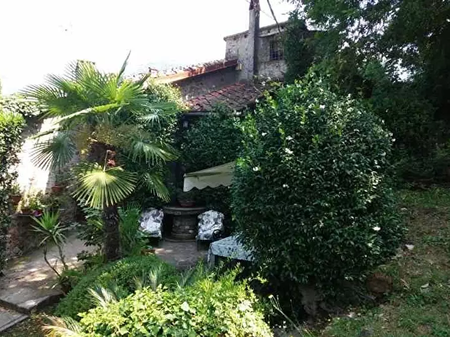 Immagine 6 di Rustico / casale in vendita  a Camaiore