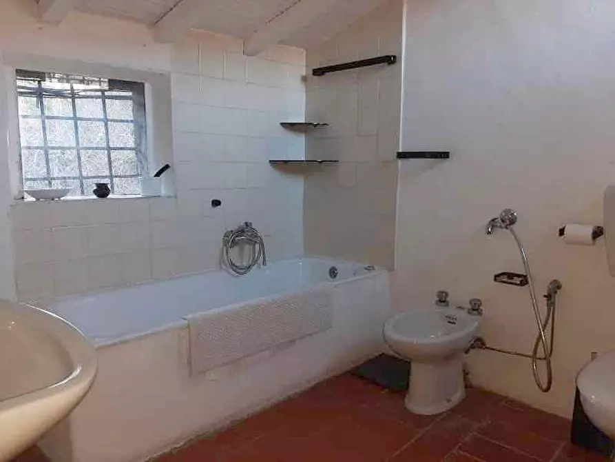 Immagine 39 di Rustico / casale in vendita  a Camaiore