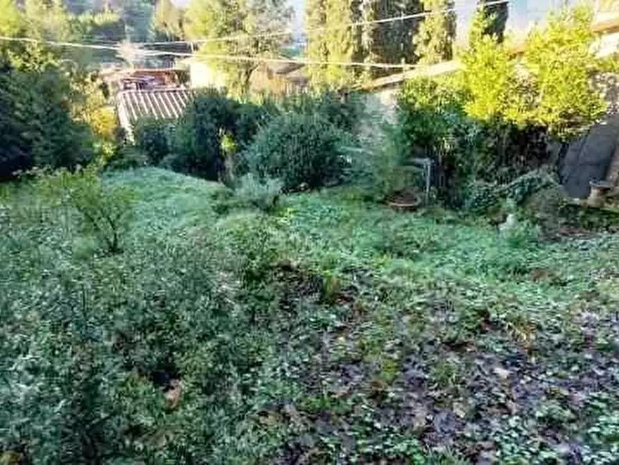 Immagine 8 di Rustico / casale in vendita  a Camaiore